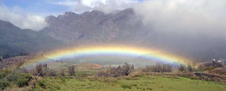 Rainbow
